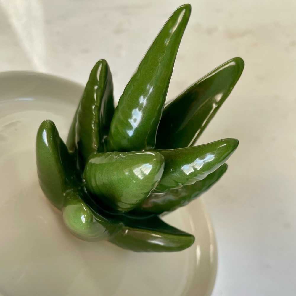 Cactus Ring Holder - Picture 7 of 10